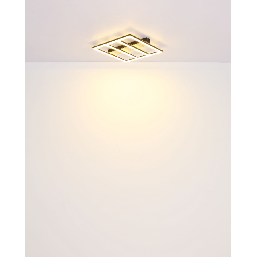 Globo - LED Stropní svítidlo LED/18W/230V 3000K 30x30 cm