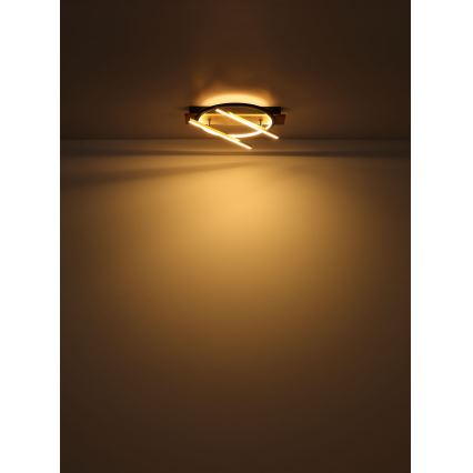 Globo - LED Stropní svítidlo LED/32W/230V