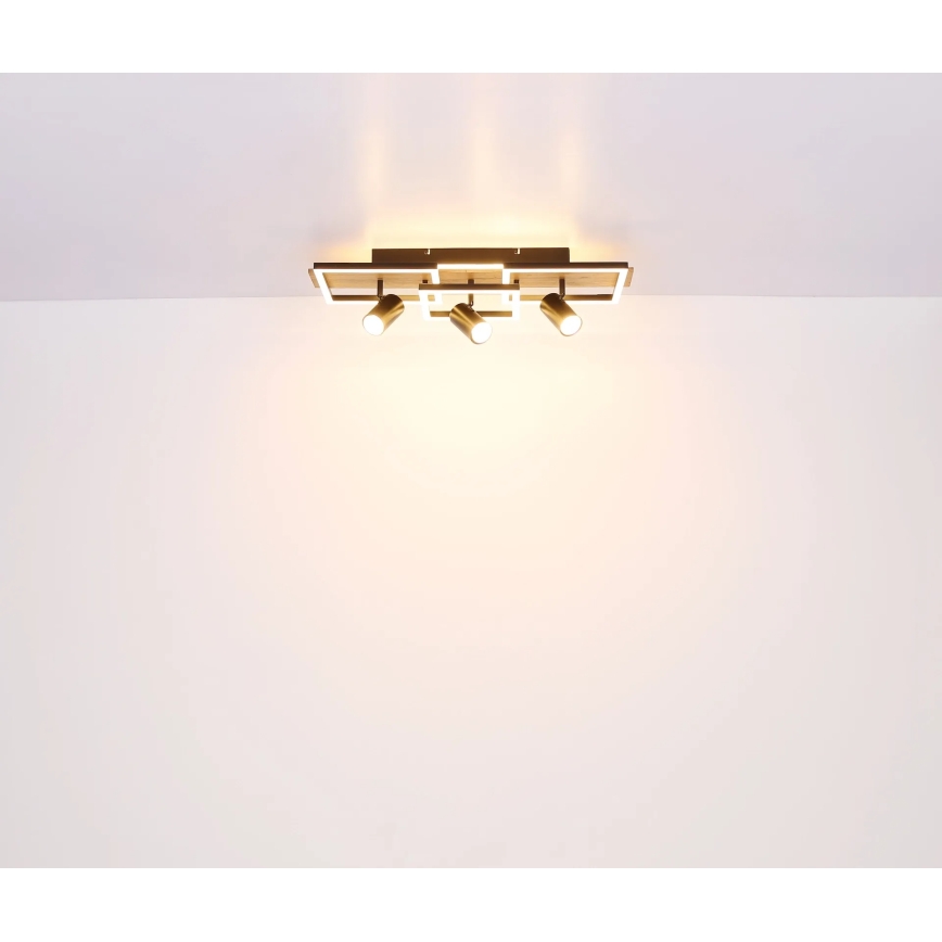 Globo - LED Stropní svítidlo LED/48W/230V + 3xGU10/5W 3000K 27x72 cm