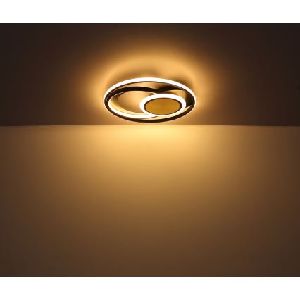 Globo - LED Stropní svítidlo LED/24W/230V