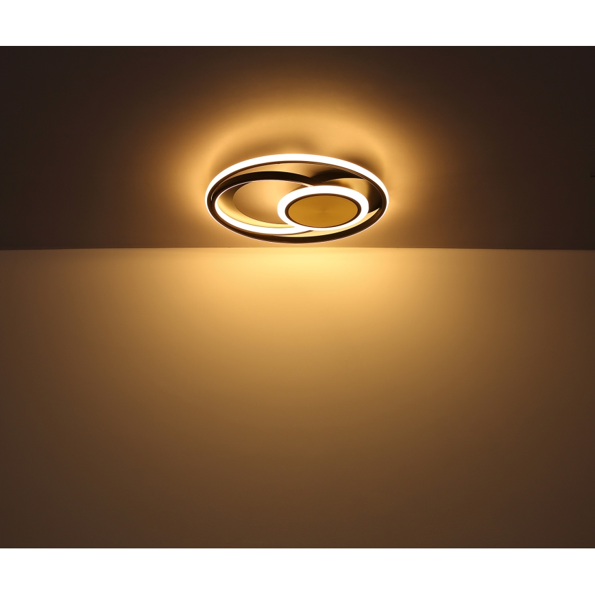 Globo - LED Stropní svítidlo LED/24W/230V