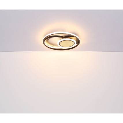 Globo - LED Stropní svítidlo LED/24W/230V