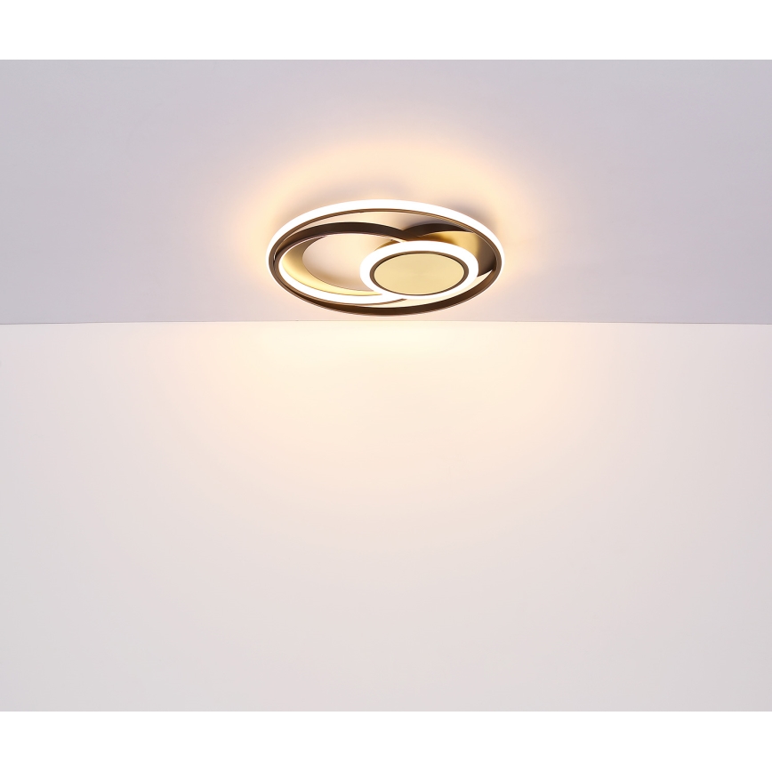 Globo - LED Stropní svítidlo LED/24W/230V