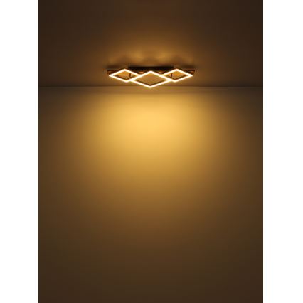 Globo - LED Stropní svítidlo LED/24W/230V