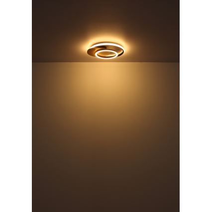 Globo - LED Stropní svítidlo LED/24W/230V černá