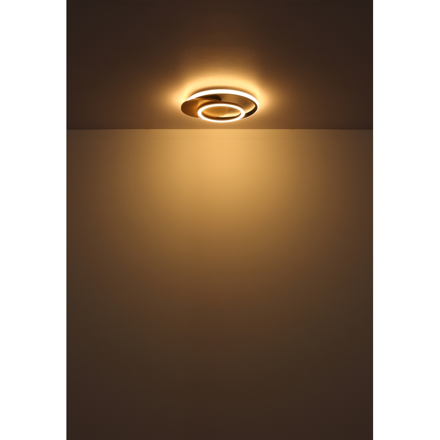 Globo - LED Stropní svítidlo LED/24W/230V černá