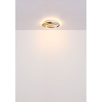 Globo - LED Stropní svítidlo LED/24W/230V černá