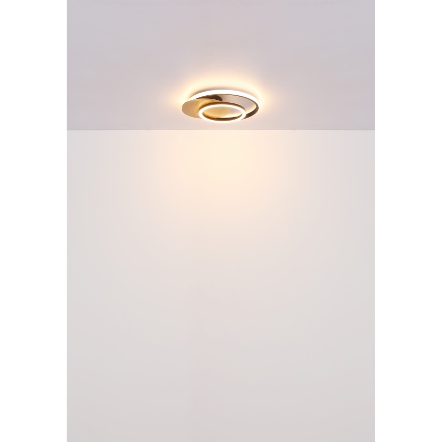 Globo - LED Stropní svítidlo LED/24W/230V černá