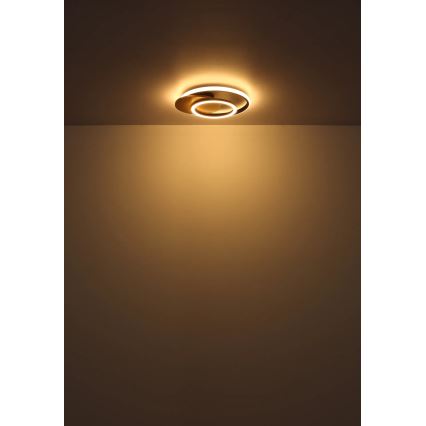 Globo - LED Stropní svítidlo LED/24W/230V