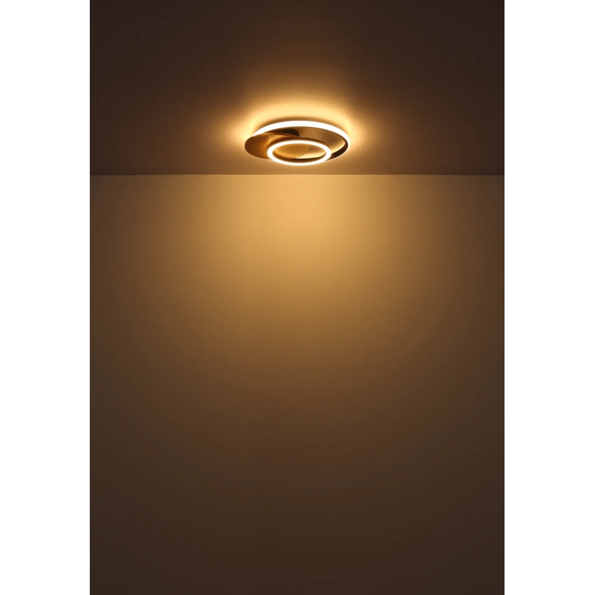 Globo - LED Stropní svítidlo LED/24W/230V