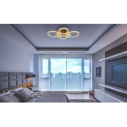 Globo - LED Stmívatelné stropní svítidlo LED/60W/230V 2700-6000K 56x78 cm antracit + dálkové ovládání