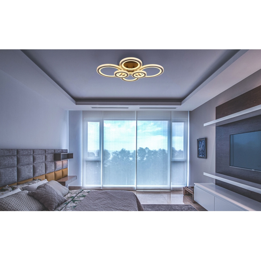 Globo - LED Stmívatelné stropní svítidlo LED/60W/230V 2700-6000K 56x78 cm antracit + dálkové ovládání