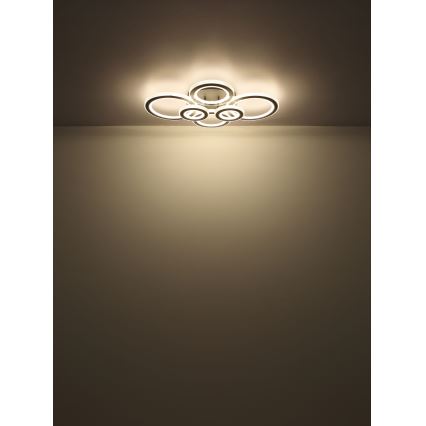 Globo - LED Stmívatelné stropní svítidlo LED/60W/230V 2700-6000K 56x78 cm antracit + dálkové ovládání