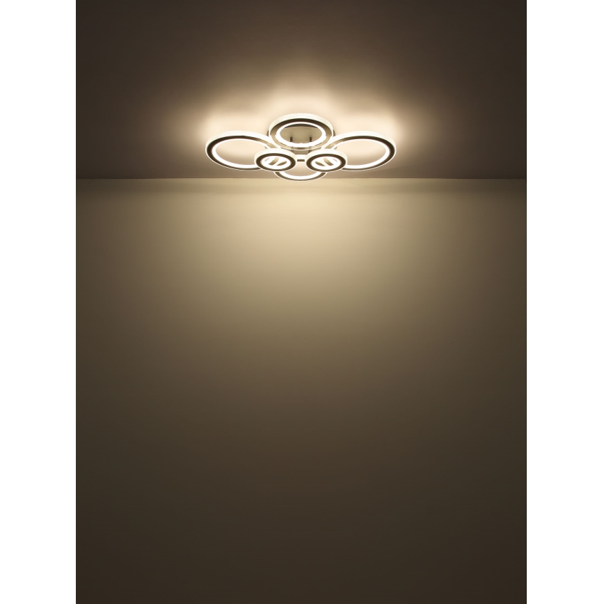 Globo - LED Stmívatelné stropní svítidlo LED/60W/230V 2700-6000K 56x78 cm antracit + dálkové ovládání