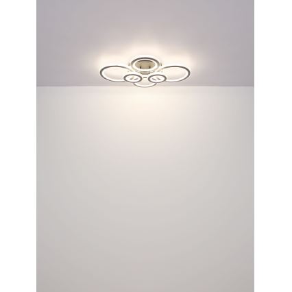 Globo - LED Stmívatelné stropní svítidlo LED/60W/230V 2700-6000K 56x78 cm antracit + dálkové ovládání