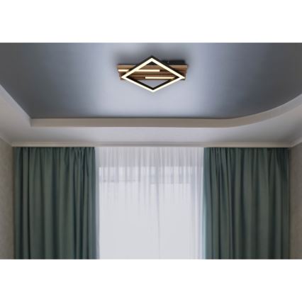 Globo - LED Stropní svítidlo LED/12W/230V + LED/7W 3000K 31x33 cm