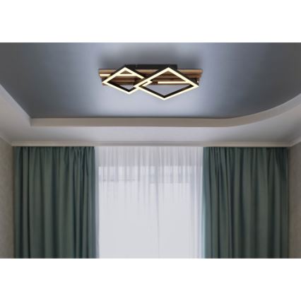Globo - LED Stropní svítidlo ED/18W/230V + LED/7W 3000K 31x47,5 cm