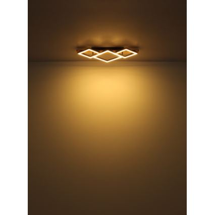 Globo - LED Stropní svítidlo LED/32W/230V 3000K 31x61cm