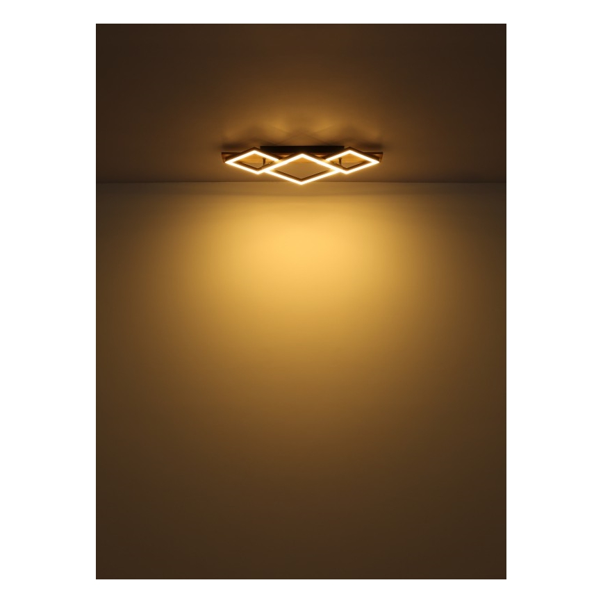 Globo - LED Stropní svítidlo LED/32W/230V 3000K 31x61cm