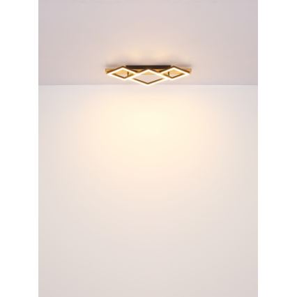 Globo - LED Stropní svítidlo LED/32W/230V 3000K 31x61cm