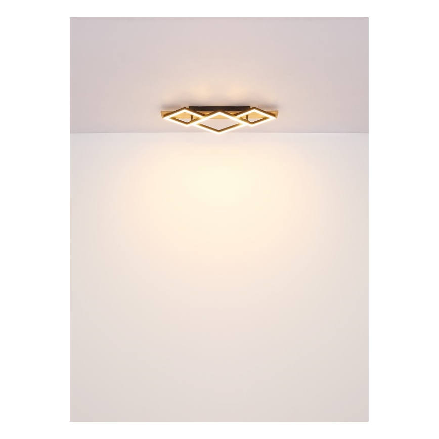Globo - LED Stropní svítidlo LED/32W/230V 3000K 31x61cm