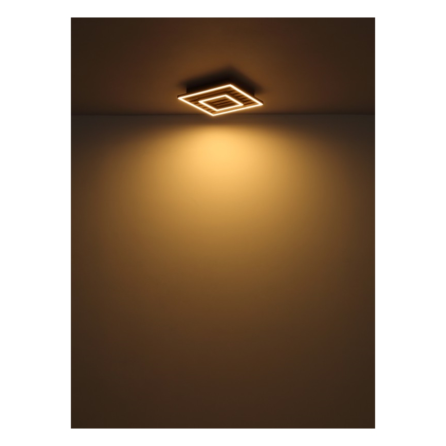 Globo - LED Stropní svítidlo LED/18W/230V 3000K 30x30 cm