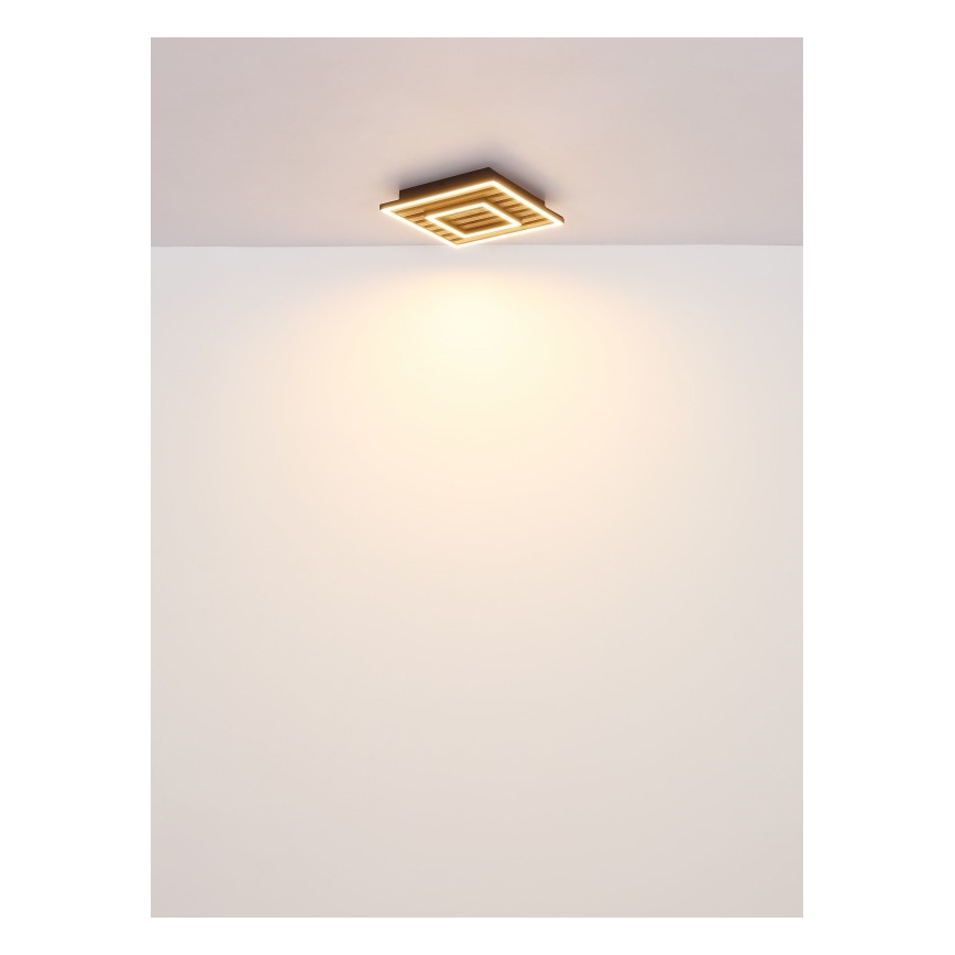 Globo - LED Stropní svítidlo LED/18W/230V 3000K 30x30 cm