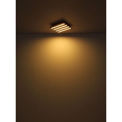 Globo - LED Stropní svítidlo LED/30W/230V 3000K 45x45 cm dřevo