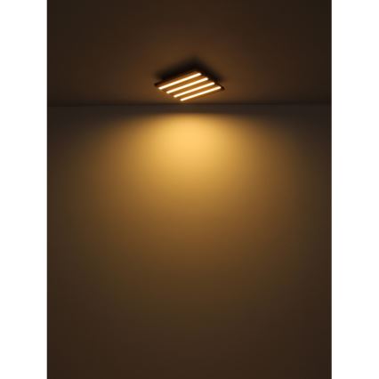 Globo - LED Stropní svítidlo LED/30W/230V 3000K 80x20 cm dřevo