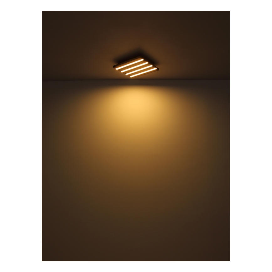 Globo - LED Stropní svítidlo LED/30W/230V 3000K 80x20 cm dřevo