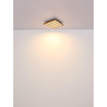 Globo - LED Stropní svítidlo LED/30W/230V 3000K 80x20 cm dřevo