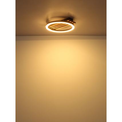 Globo - LED Stropní svítidlo LED/12W/230V 3000K 30x34 cm