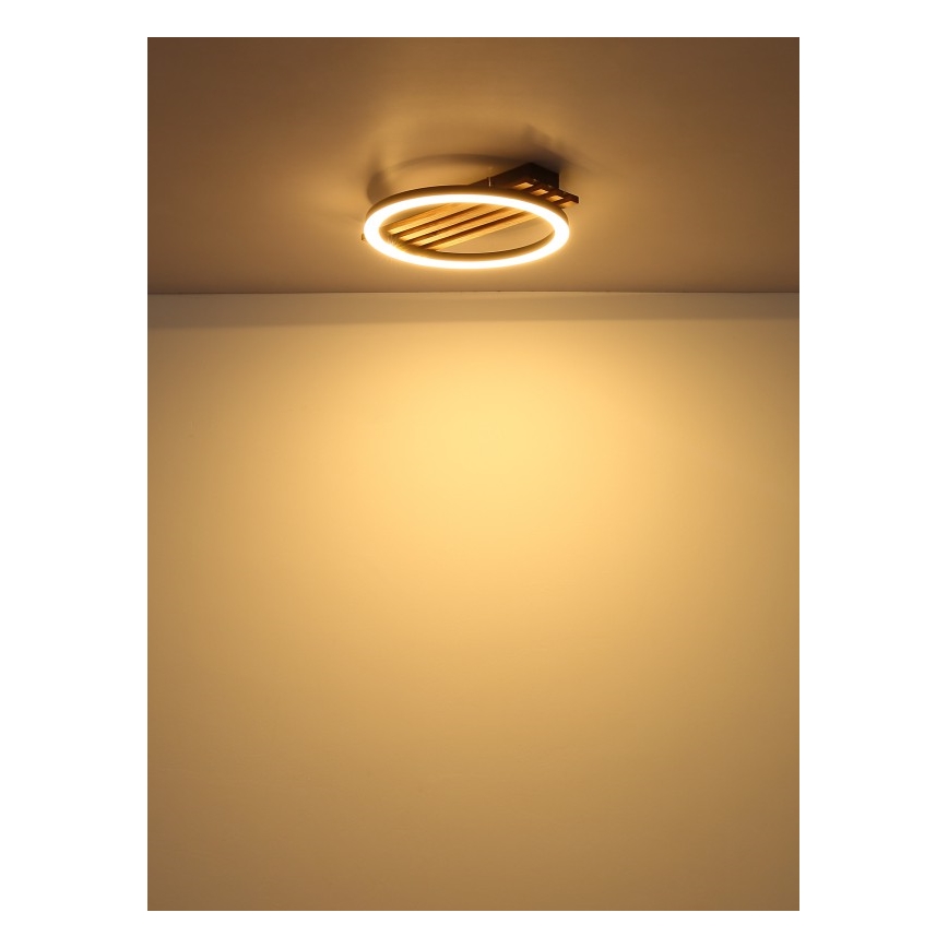 Globo - LED Stropní svítidlo LED/12W/230V 3000K 30x34 cm