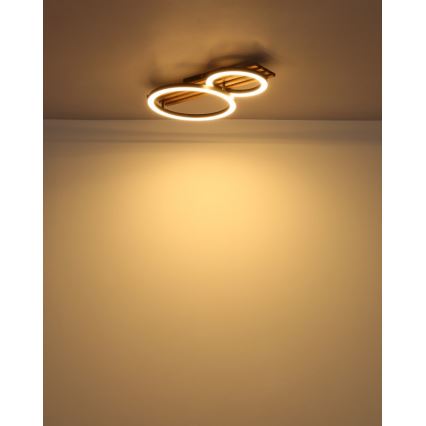 Globo - LED Stropní svítidlo LED/18W/230V 3000K 30x48 cm
