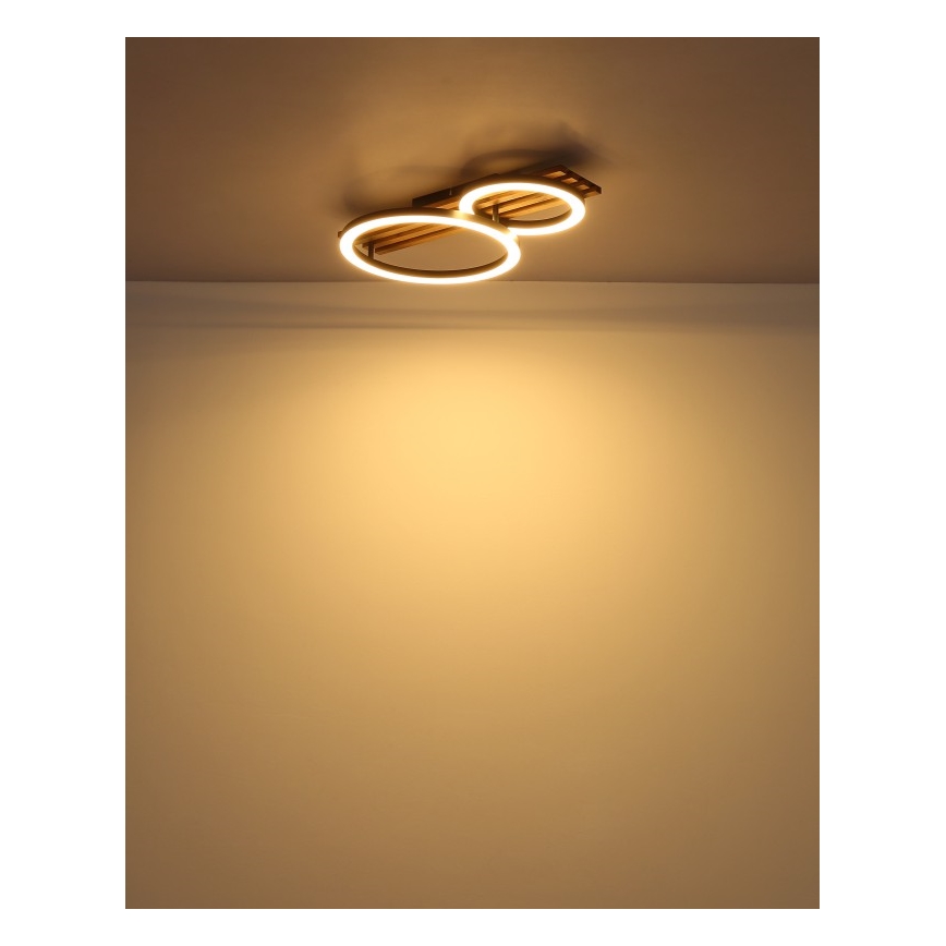 Globo - LED Stropní svítidlo LED/18W/230V 3000K 30x48 cm