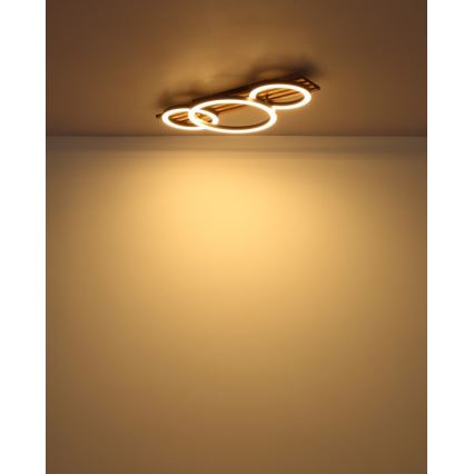 Globo - LED Stropní svítidlo LED/24W/230V 3000K 30x62 cm