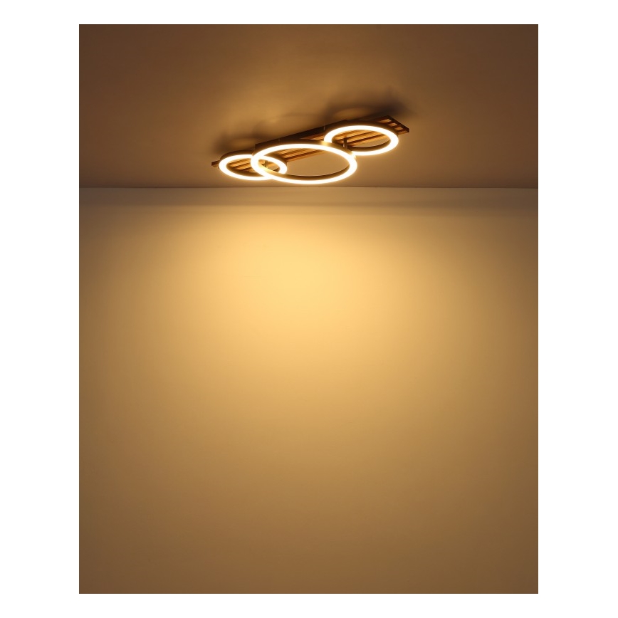 Globo - LED Stropní svítidlo LED/24W/230V 3000K 30x62 cm