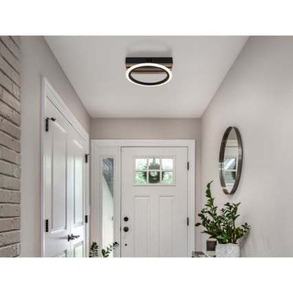 Globo - LED Stropní svítidlo LED/10W/230V 3000/4200/6000K