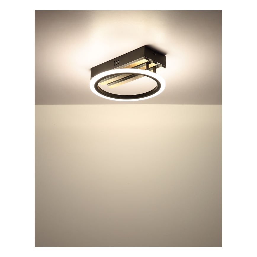 Globo - LED Stropní svítidlo LED/10W/230V 3000/4200/6000K