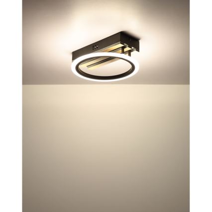 Globo - LED Stropní svítidlo LED/10W/230V 3000/4200/600K 25x25 cm