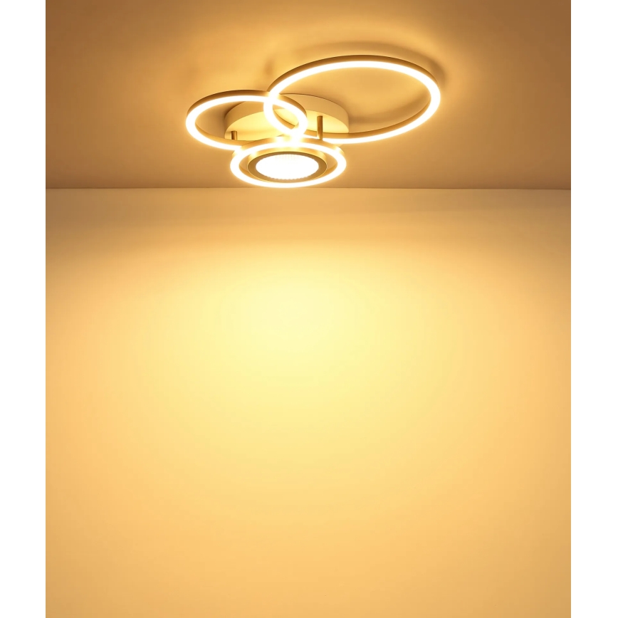 Globo - LED Stropní svítidlo LED/40W/230V 3000K 49x39 cm