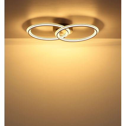 Globo - LED Stropní svítidlo LED/30W/230V 3000K 33x54 cm