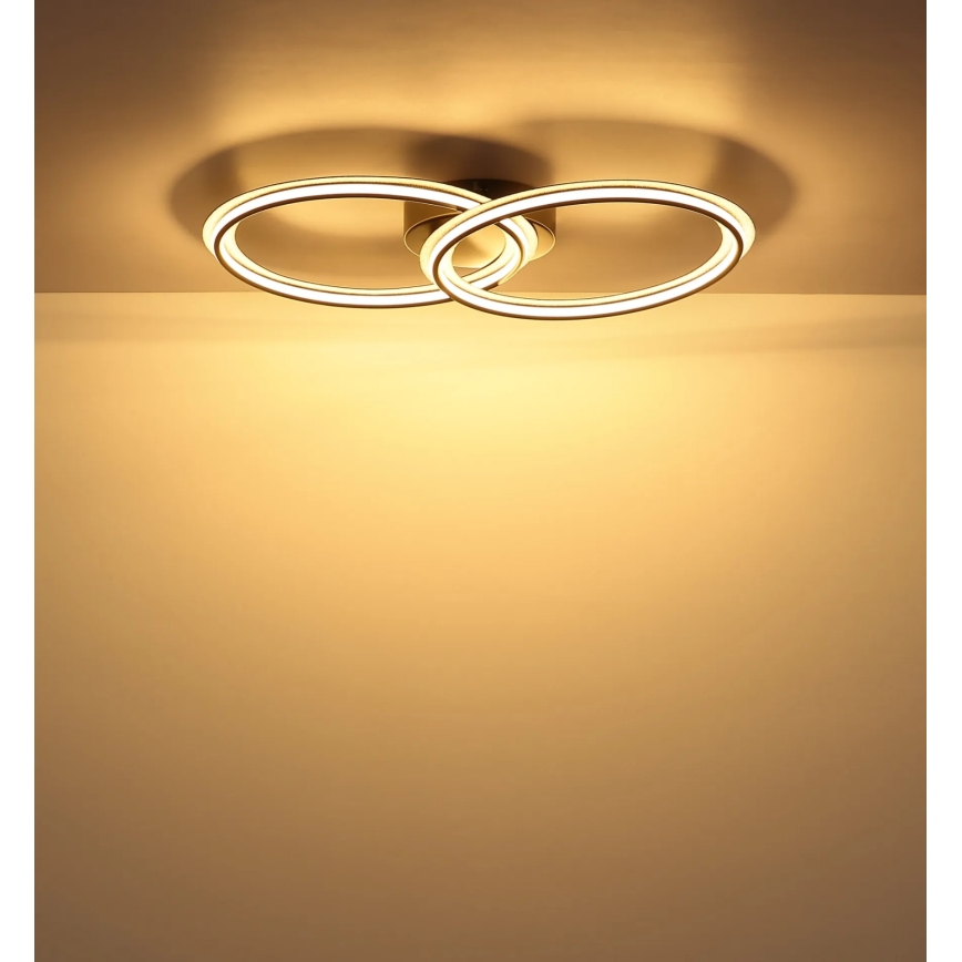 Globo - LED Stropní svítidlo LED/30W/230V 3000K 33x54 cm
