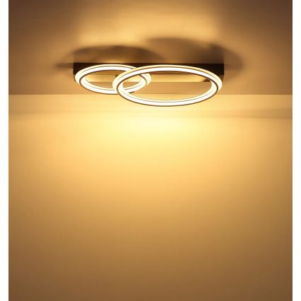 Globo - LED Stropní svítidlo LED/30W/230V 3000K 33x45 cm