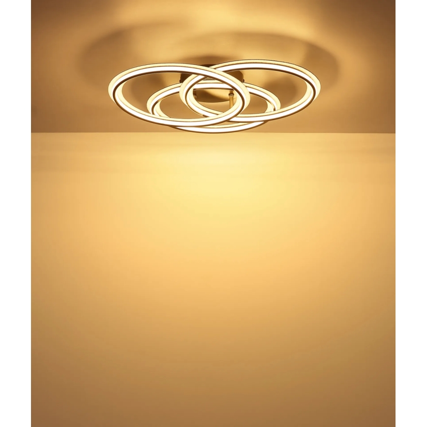 Globo - LED Stropní svítidlo LED/40W/230V 3000K pr. 52 cm