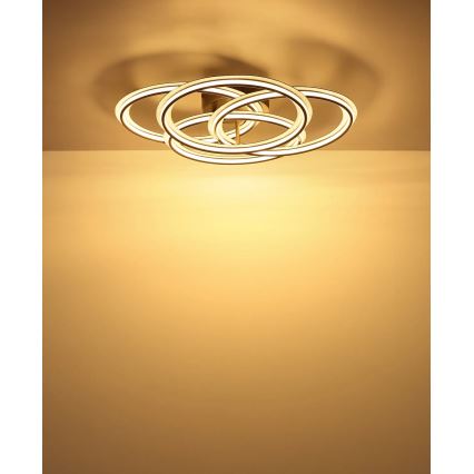 Globo - LED Stropní svítidlo LED/55W/230V 3000K pr. 53,5 cm