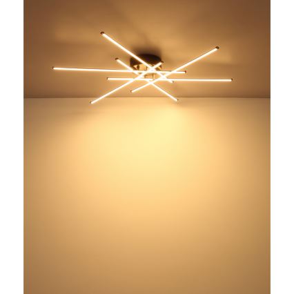 Globo - LED Stropní svítidlo LED/40W/230V 3000K černá