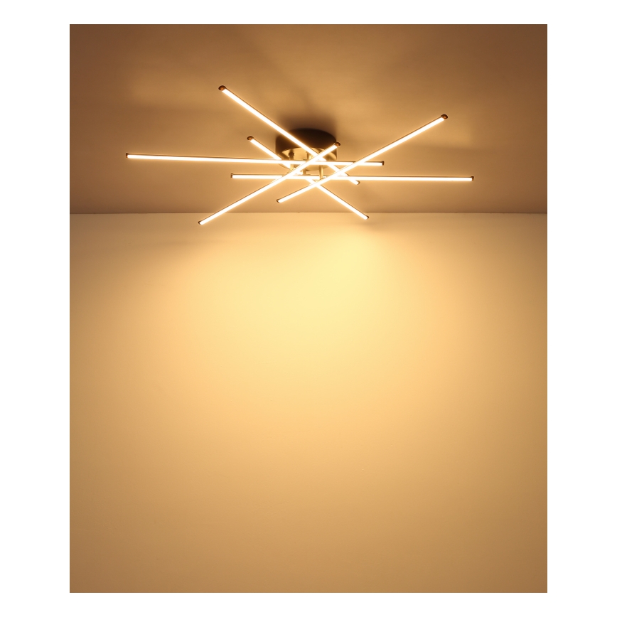 Globo - LED Stropní svítidlo LED/40W/230V 3000K černá