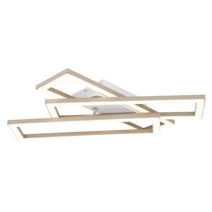 Globo - LED Stropní svítidlo LED/24W/230V 3000/4000/6000K