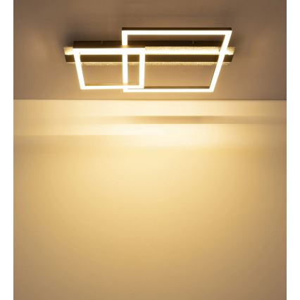 Globo - LED Stropní svítidlo LED/30W/230V 3000K 33x56 cm